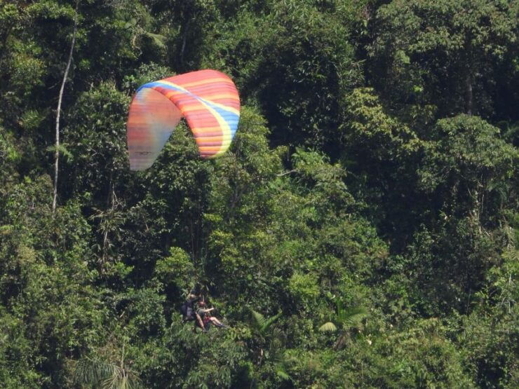 From Guatape: Paragliding Over Guacaica Jungle - Experience Highlights