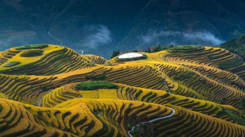 From Guilin: 1-Day Private Longji Rice Terraces Tour - Additional Insights from Reviews
