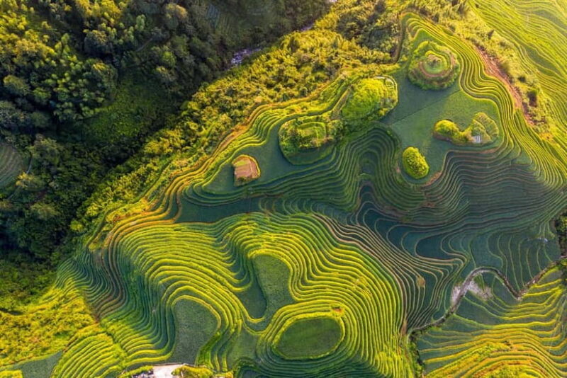 From Guilin: 1-Day Private Longji Rice Terraces Tour - Good To Know