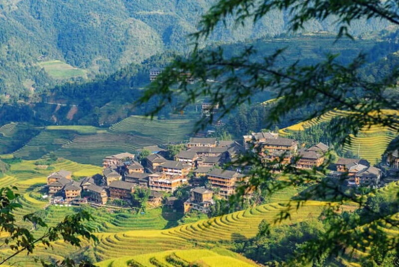 From Guilin: 1-Day Private Longji Rice Terraces Tour - Introduction: A Day of Scenic Beauty and Cultural Discovery