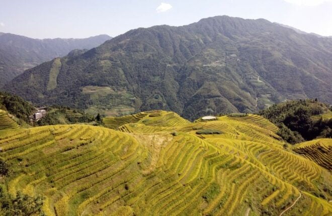 From Guilin: Longsheng Dragons Backbone Rice Terraces - Inclusions