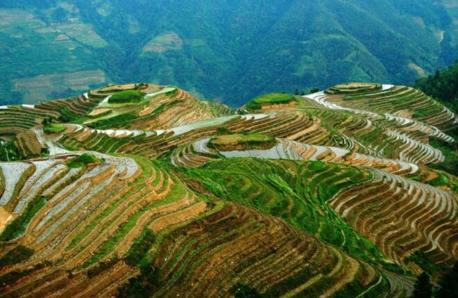 From Guilin: Longsheng Dragons Backbone Rice Terraces - Booking and Reservation