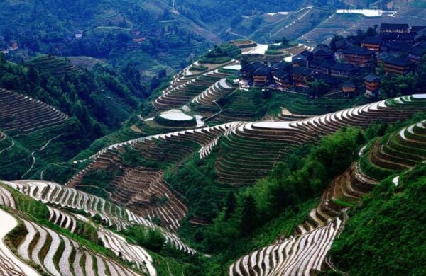 From Guilin: Longsheng Dragons Backbone Rice Terraces - Frequently Asked Questions
