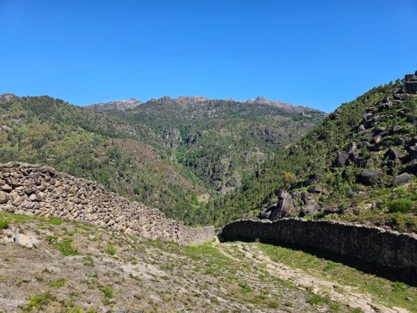 From Guimarães: Full-Day Tour in Gerês National Park - Natural Wonders