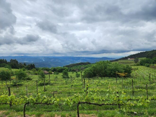 From Guimarães: Full-Day Tour in Guimarães and Fafe - Casa Do Penedo Visit