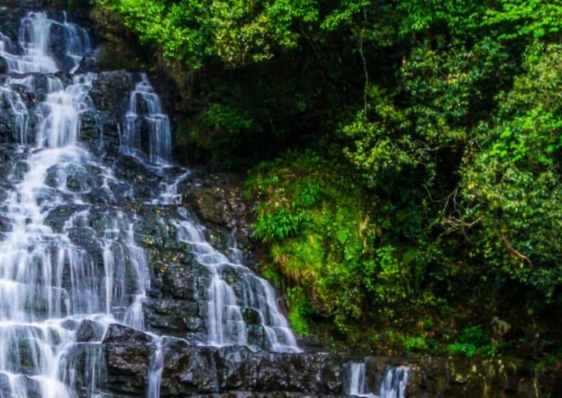 From Guwahati: Shillong Guided Day Tour - What to Bring