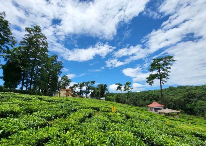 From Guwahati: Shillong Guided Day Tour - Cultural Highlights: Don Bosco Museum and Shillong’s Heritage