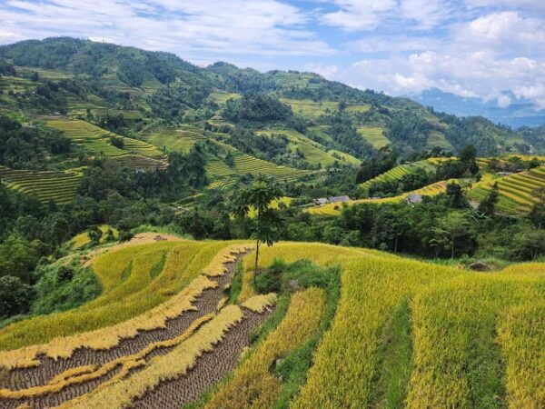 From Ha Giang: 3 Day 2 Night Ha Giang Loop Motorbike Tour - Tips for Travelers