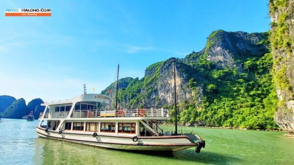 From Ha Long Bay: Ha Long Bay Wego Cruises 1 Day Trip - Frequently Asked Questions
