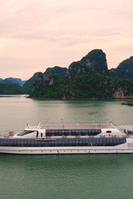 From Ha Long Bay: Paradise Delight Cruise - Entertainment and Activities