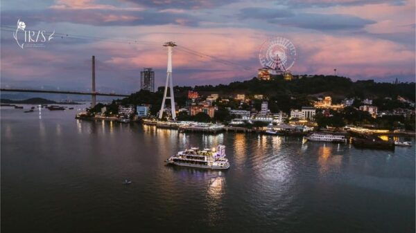 From Ha Long: Ha Long Dinner on Cruise With DJ on Sundeck - Additional Tips for Guests