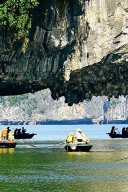 From Ha Noi: 1 Day Ha Long Bay Exploration by Cruise Option - Inclusions of the Cruise
