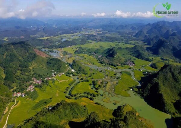 From Ha Noi: Cao Bang - Ban Gioc Waterfall 2D1N - Frequently Asked Questions