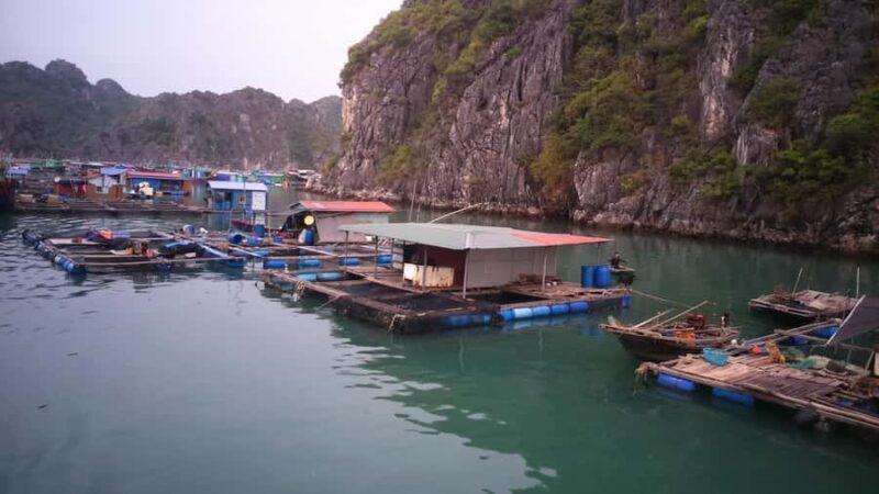 From Ha Noi/Cat Ba: Full-Day Cruise to Lan Ha - Ha Long Bay - Good To Know