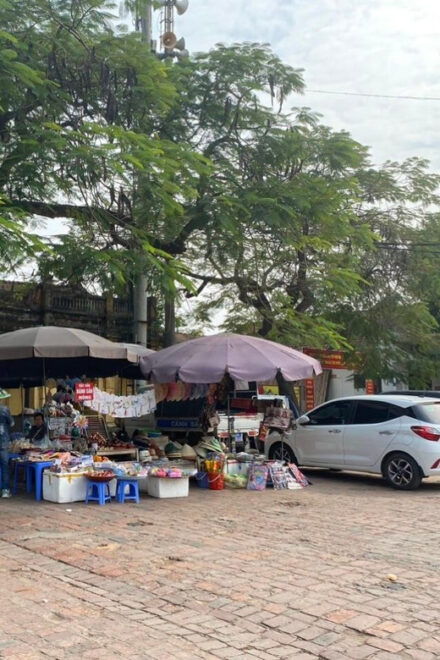 From Ha Noi: Duong Lam Ancient Village 1 Day - Itinerary Details