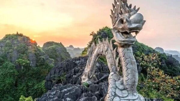 From Ha Noi: Explore Hoa Lu, Tam Coc and Mua Cave Full Day - Tips for Travelers