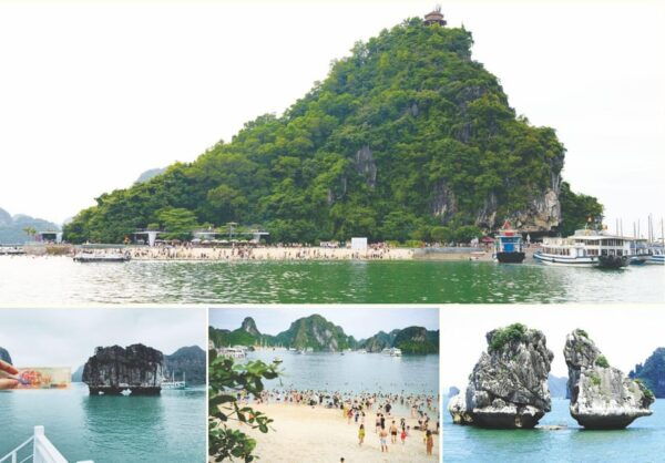 FROM HA NOI : FULL DAY LUXURY HA LONG BAY CRUISE - LIMOUSINE - Customer Reviews and Testimonials