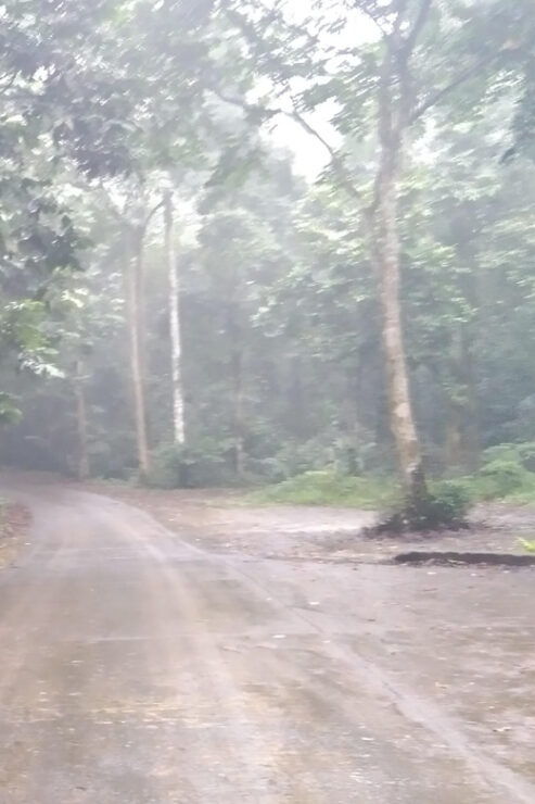 From Ha Noi - FullDay Trip Cuc Phuong National Park - Trip Overview and Pricing