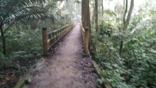 From Ha Noi - FullDay Trip Cuc Phuong National Park - Turtle Center Experience