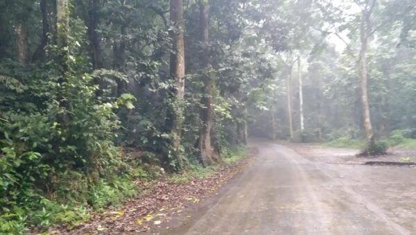 From Ha Noi - FullDay Trip Cuc Phuong National Park - Inclusions and Exclusions