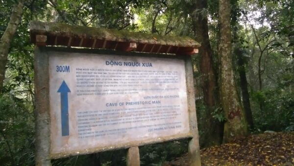 From Ha Noi - FullDay Trip Cuc Phuong National Park - Booking and Cancellation Policy