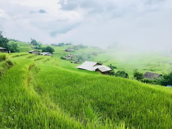From Ha Noi: Ha Giang, Dong Van Rock Plateau 2-Day, 3-Night - Safety Guidelines