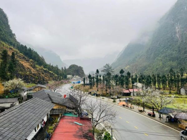 From Ha Noi: Ha Giang Loop Tour 4 Day 3 Nights - Frequently Asked Questions