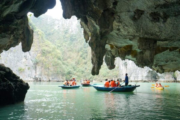 From Ha Noi: Ha Long Bay Day Trip W/ Cave,Island & Kayak - Frequently Asked Questions