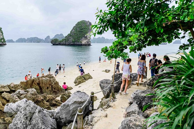 From Ha Noi- Ha Long Bay With Buffet Lunch on Luxury Cruise - Scenic Views and Photography Opportunities