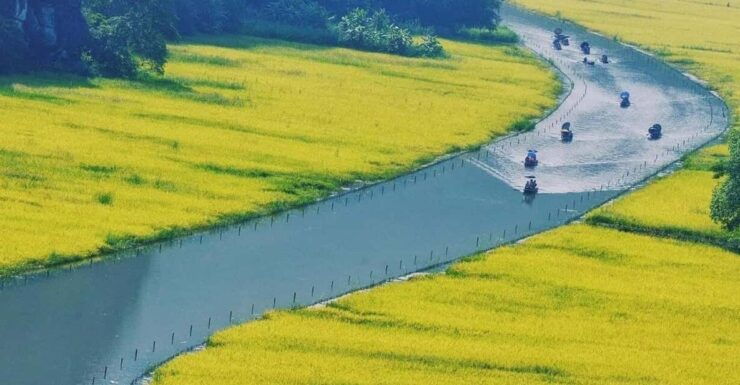 From Ha Noi: Hoa Lu – Tam Coc/ Trang An - Itinerary and Activities