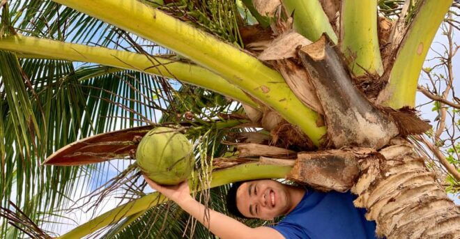 From Ha Noi: Mekong Last in HCM Package Tour 16 Day 15 Night - Accommodation and Transportation