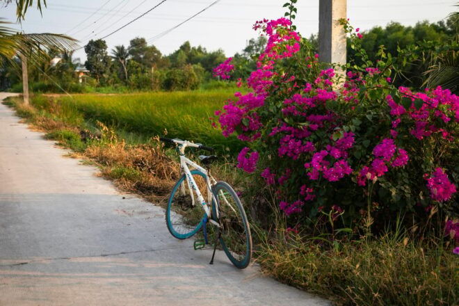 From Ha Noi: Mekong Last in HCM Package Tour 16 Day 15 Night - Nature and Adventure