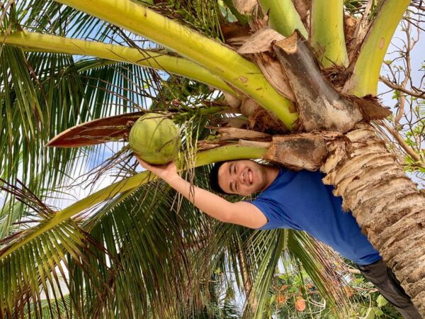 From Ha Noi: Mekong Last in HCM Package Tour 16 Day 15 Night - Exclusions and Additional Costs