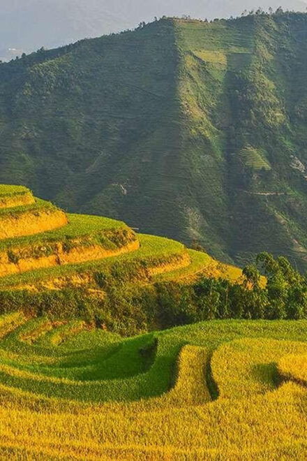 From Ha Noi or Sapa: 2-Day Ha Giang Loop Tour With Rider - Day 1 Highlights