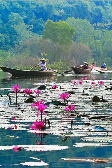 From Ha Noi: Perfume Pagoda – A Pagoda In Deep In A Cave - Highlights of the Tour