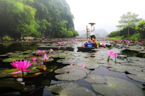 From Ha Noi: Perfume Pagoda & Admire A Romantic Stream - Preparation and What to Bring