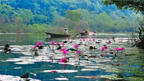 From Ha Noi: Perfume Pagoda – One Of The Holiest Pagoda - Visiting Huong Tich Cave