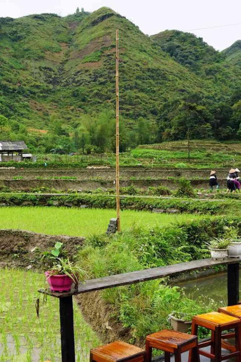 From Ha Noi (Sapa): 3-Day Ha Giang Loop Adventure Easy Rider - Tour Overview and Pricing