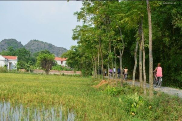 From Ha Noi: Tam Coc -Hoa Lu &Mui Cave Full Day Private Trip - Additional Notes