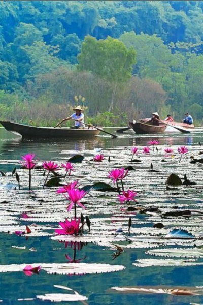 From Ha Noi: Visit Perfume Pagoda In 1 Day - Booking Information