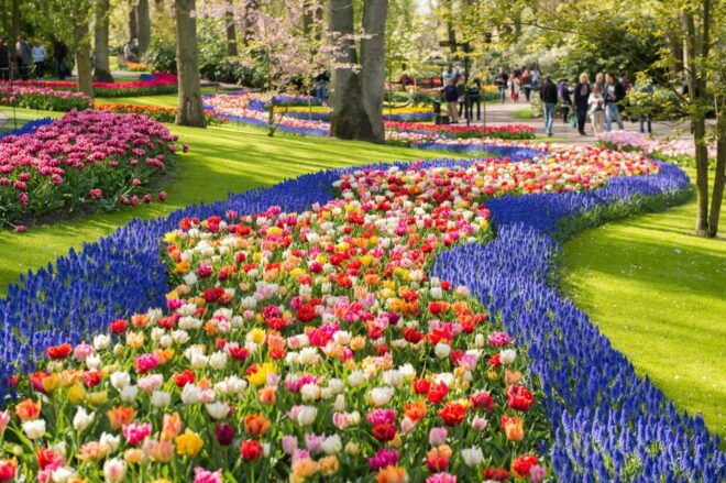From Haarlem Central: Keukenhof Entry Incl. Public Bus - Keukenhof Description