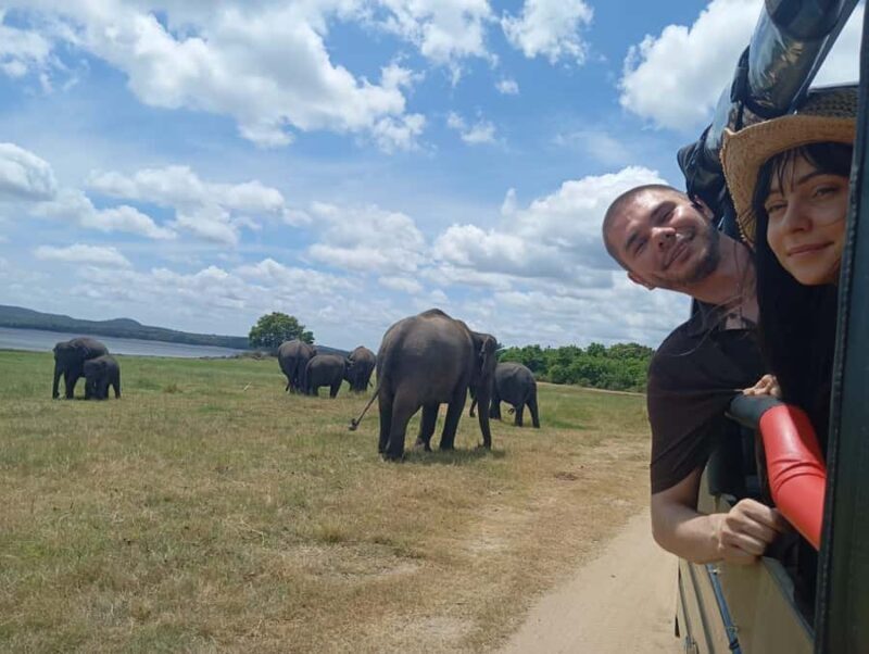 From Habarana: Minneriya National Park 4x4 Jeep Safari - Practical Details and Tips