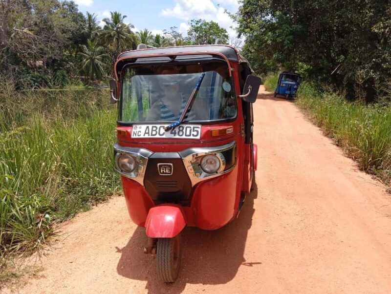 From Habarana: Polonnaruwa Ancient City Tour by Tuk-Tuk - Final Verdict