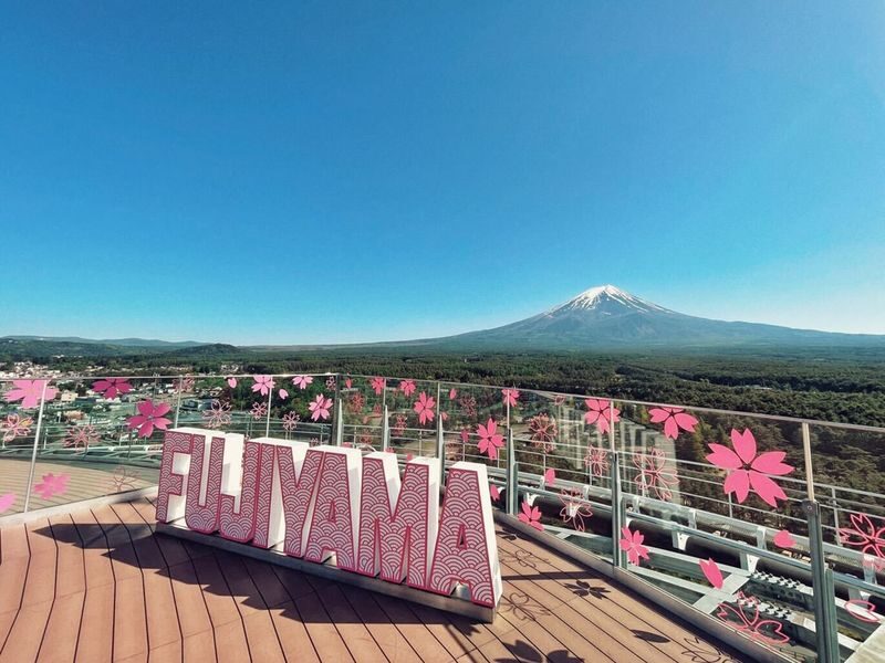 From Hakone or Lake Kawaguchiko: Mt. Fuji Area Connection Bus Tour - A connection between two areas that takes planning