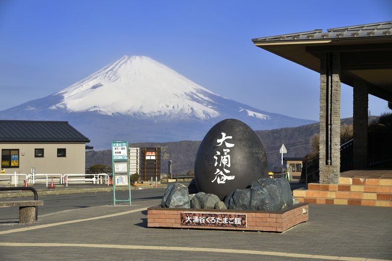 From Hakone or Lake Kawaguchiko: Mt. Fuji Area Connection Bus Tour - Tourist Base Kawaguchiko: a quick look at Fuji