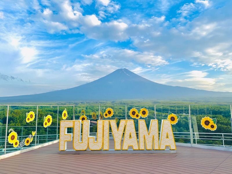 From Hakone or Lake Kawaguchiko: Mt. Fuji Area Connection Bus Tour - Who should take this bus