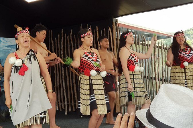 From Hamilton: Living Maori Village, Haka Dance and Blue Springs - Who This Tour Is Best For