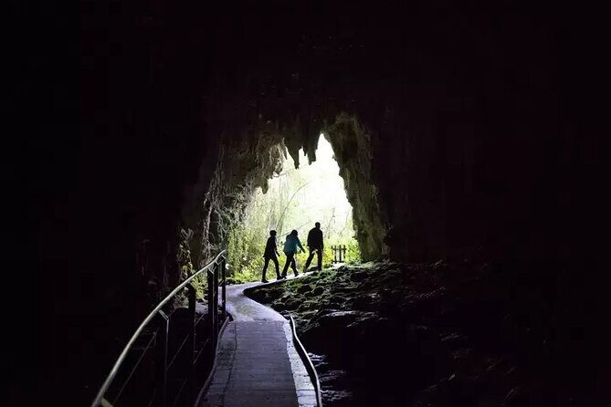 From Hamilton: Waitomo Glowworm & Cave Explorer Small Group Tour - Who This Tour Is Best Suited For