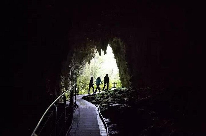 From Hamilton: Waitomo Glowworm & Cave Explorer Small Group Tour - Final Thoughts
