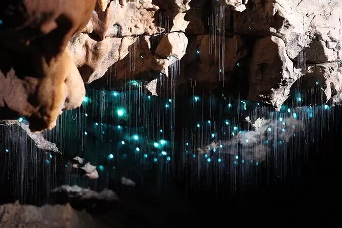 From Hamilton: Waitomo Glowworm & Cave Explorer Small Group Tour - FAQ